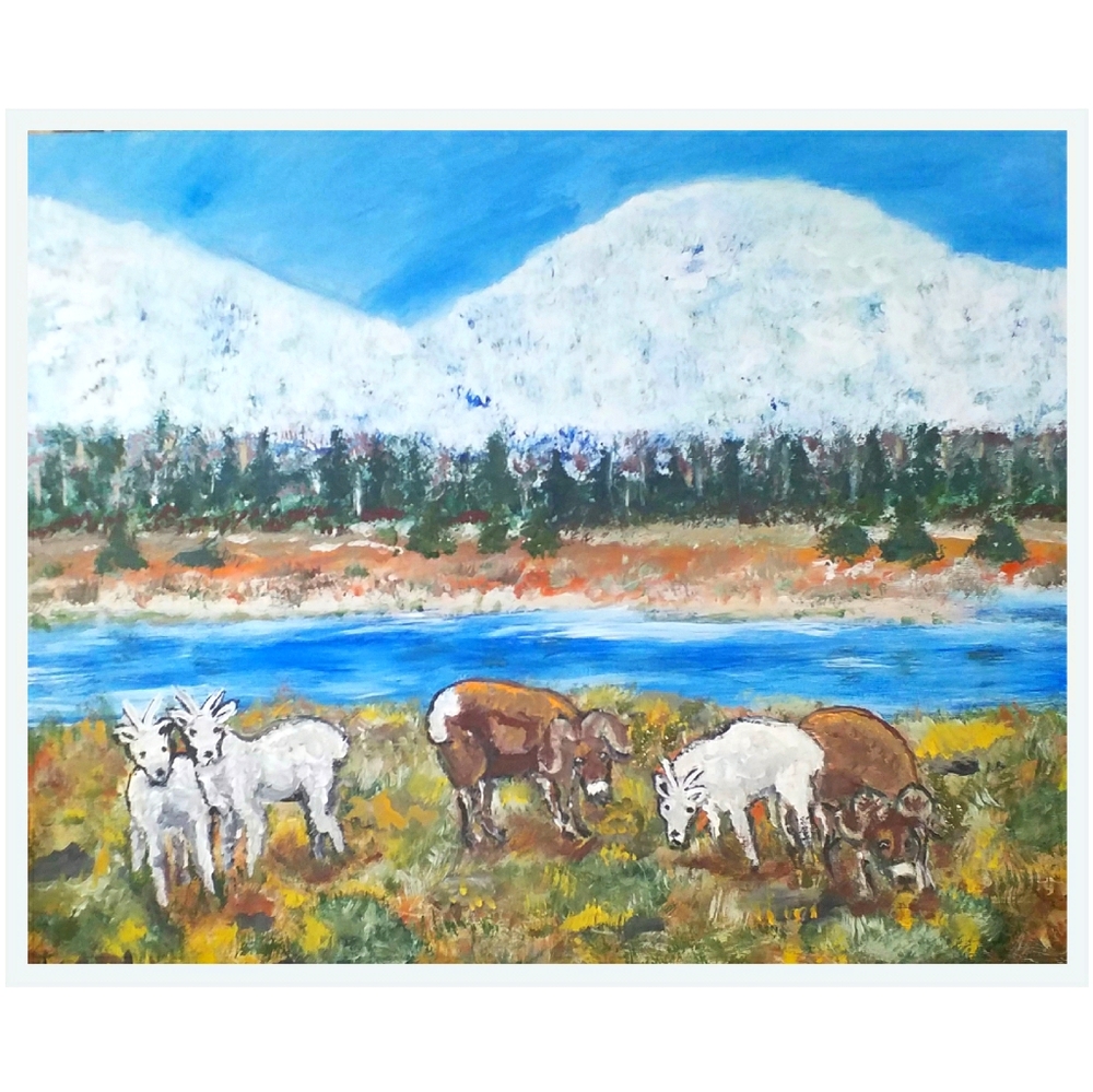 MT Christmas Eve: Big Horn Sheep